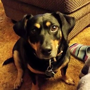 Meet your Posher, Lynn